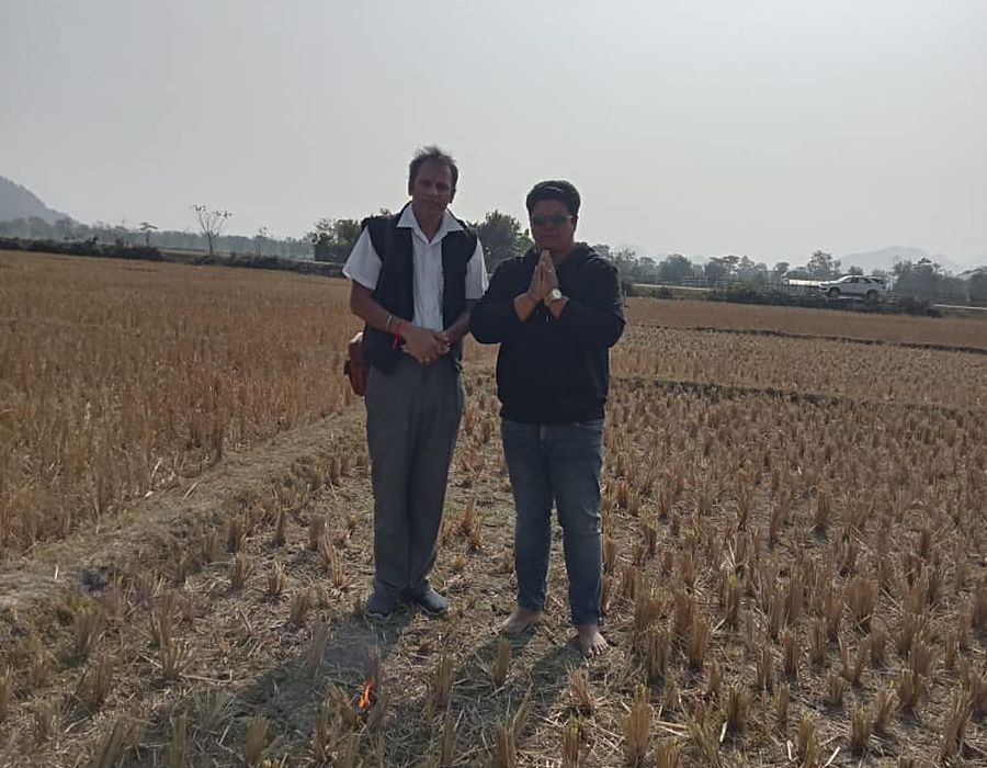 Assessing the topography of an open plot during a site visit